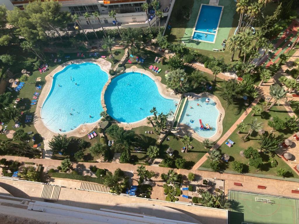 Rascacielo Bonito Mirando Al Mar Lägenhet Benidorm Exteriör bild