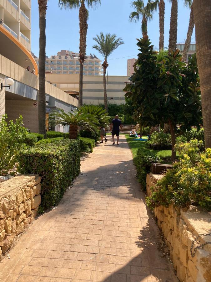 Rascacielo Bonito Mirando Al Mar Lägenhet Benidorm Exteriör bild